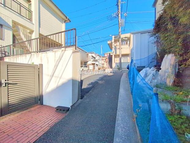 現地写真です。