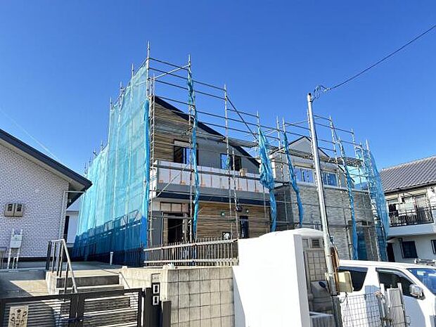 現地写真です。