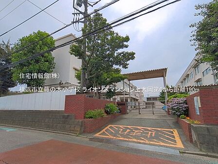 横浜市立藤の木小学校まで約190m(徒歩3分)