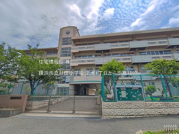横浜市立杉田小学校まで約1890m（徒歩24分）