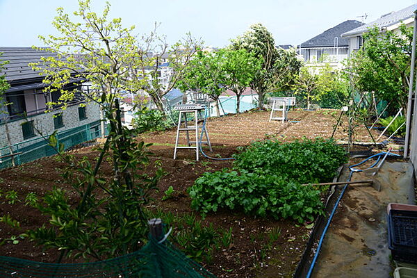 敷地内にある50坪以上の広々家庭菜園。
