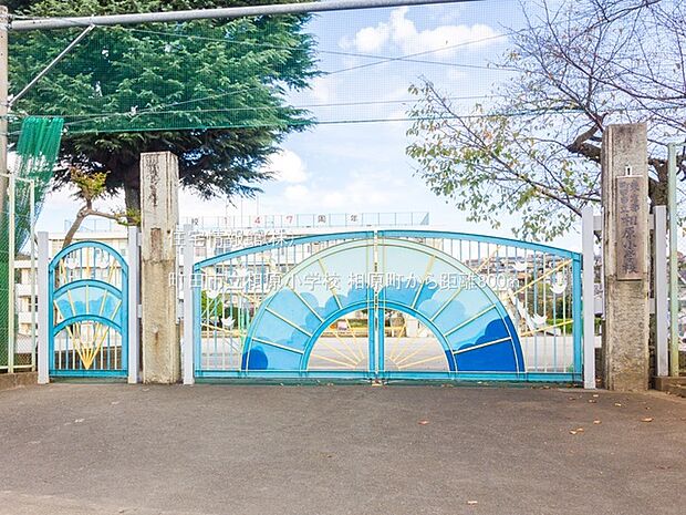 町田市立相原小学校まで約800m(徒歩10分)