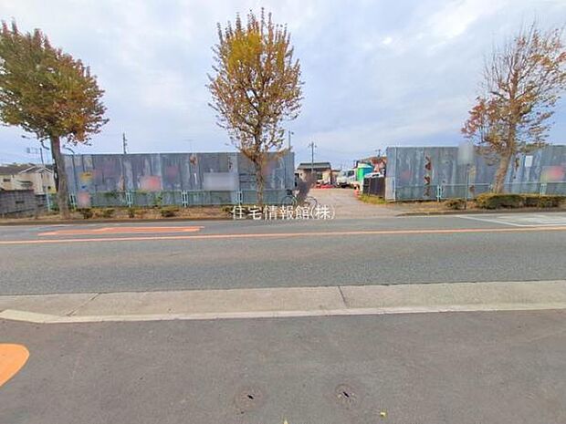 現地写真です。