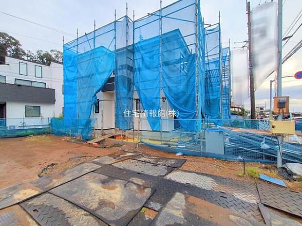 現地写真です。