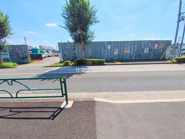 現地写真です。