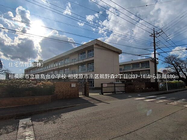 相模原市立鹿島台小学校まで約880m（徒歩11分）