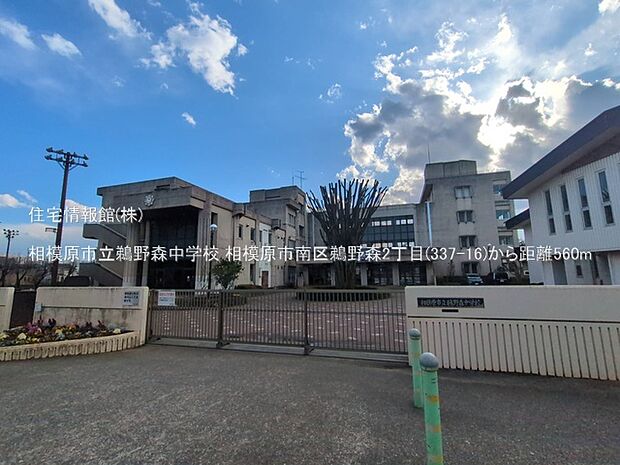相模原市立鵜野森中学校まで約560m（徒歩7分）