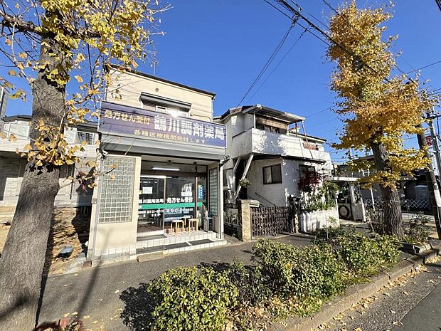 鶴川調剤薬局まで約1300m(徒歩17分)
