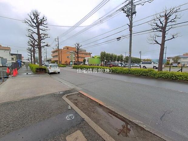 現地写真です。