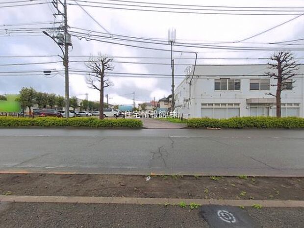 現地写真です。