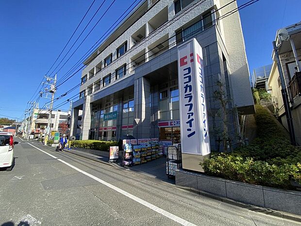 ココカラファイン 玉川学園前南口店まで約1210m(徒歩16分)