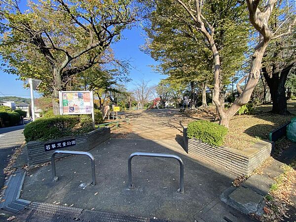 周辺を拡大表示