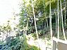 その他：お住まいからの眺望です。木々の緑に癒されますね。