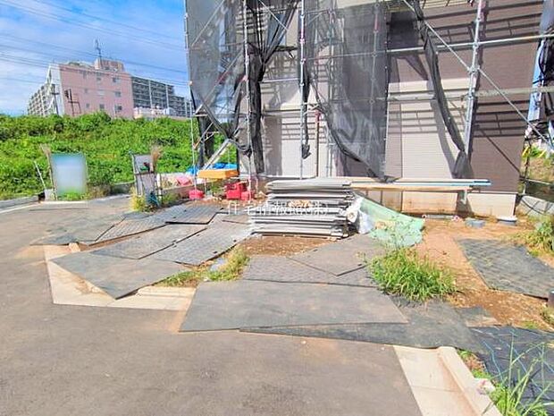 現地写真です。