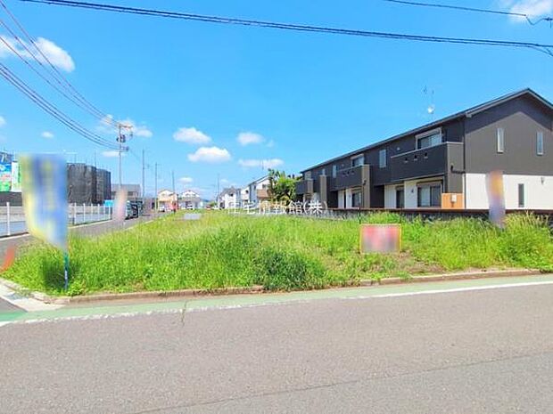 現地写真です。