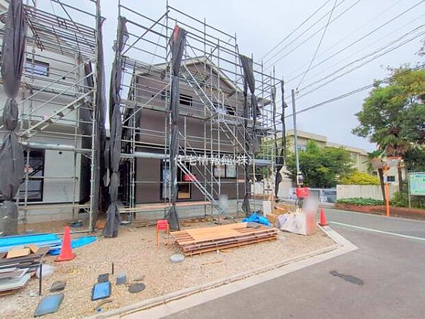 現地写真です。