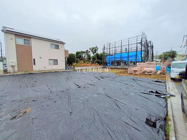 現地写真です。