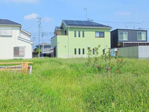 現地写真です。