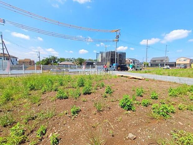 現地写真です。