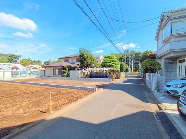 現地写真です。