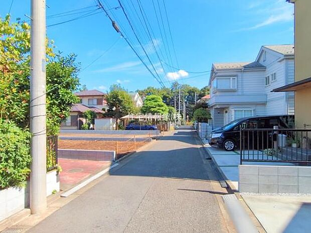 現地写真です。