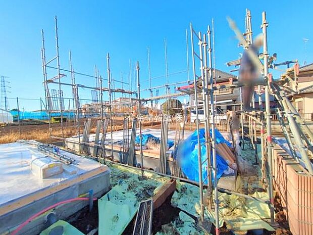 現地写真です。