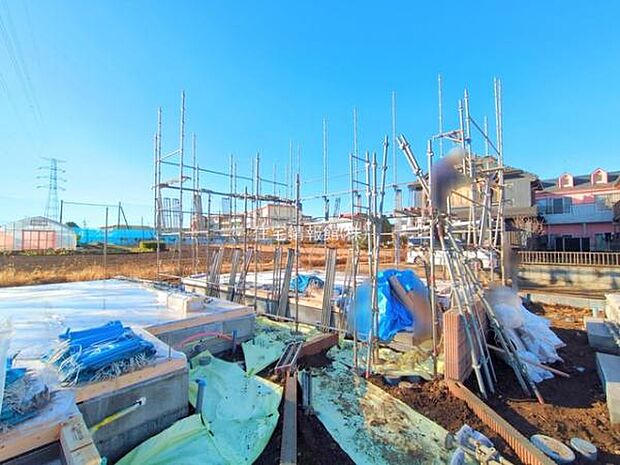 現地写真です。