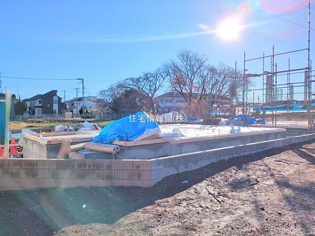 現地写真です。