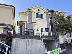 東京都武蔵村山市中藤1丁目