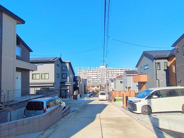 現地写真です。