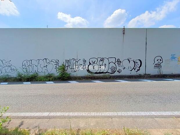 現地写真です。