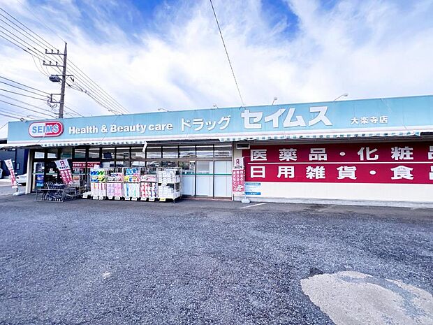 ドラッグセイムス 大楽寺店まで約3820m（徒歩48分）