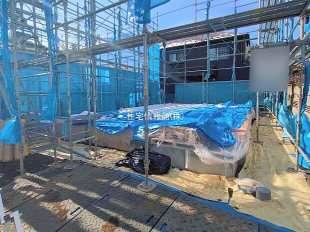 現地写真です。