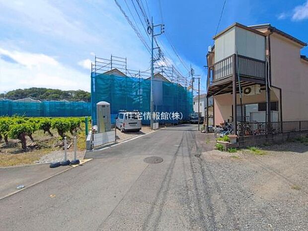 現地写真です。