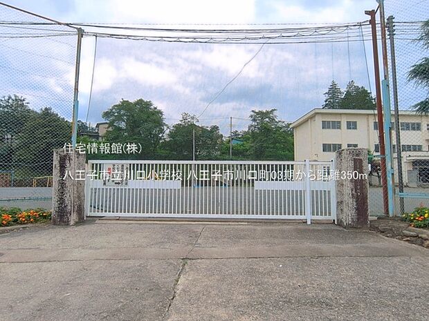 八王子市立川口小学校まで約350m(徒歩5分)