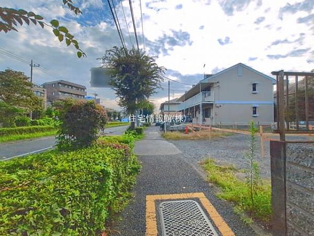 現地写真です。