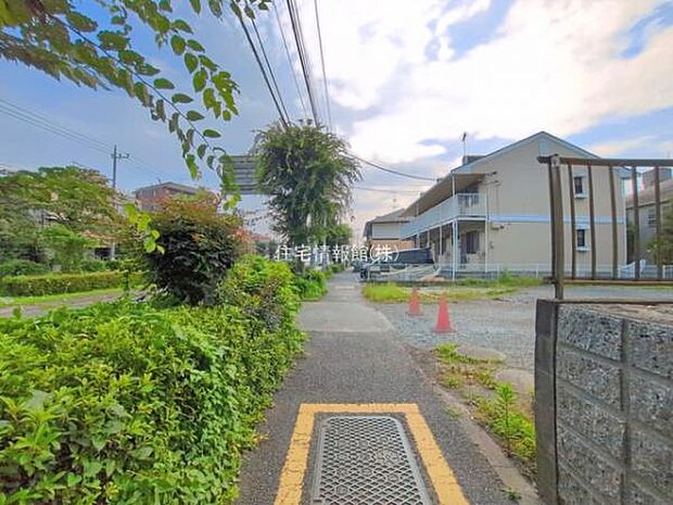 現地写真です。