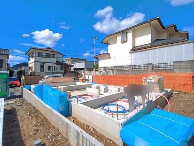 現地写真です。