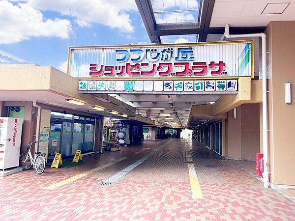 つつじが丘　ショピングプラザまで約1950m（徒歩25分）
