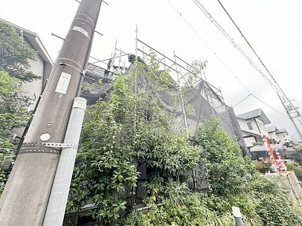 ぜひ現地をご覧くださいませ。