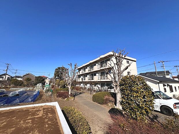 北東側は遊歩道になっております。