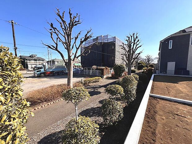 植栽が整った遊歩道は、お散歩にいいですね。