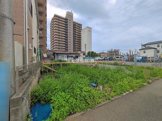現地写真です。