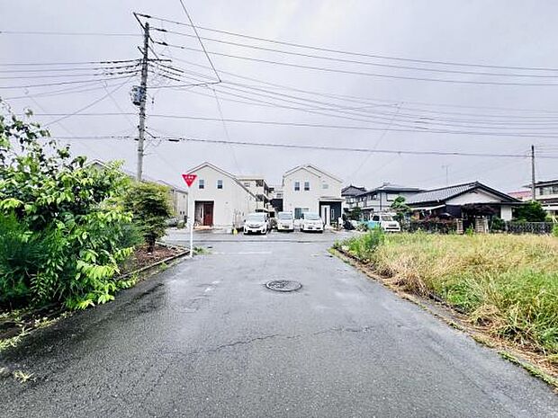 現地写真です。