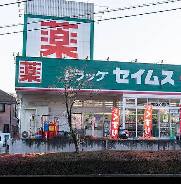 ドラッグセイムス あきる野舘谷店まで約490m(徒歩7分)