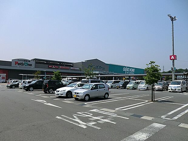 カインズ 青梅インター店まで約3180m（徒歩40分）