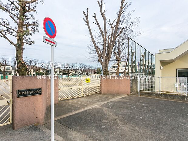 府中市立新町小学校まで約600m(徒歩8分)