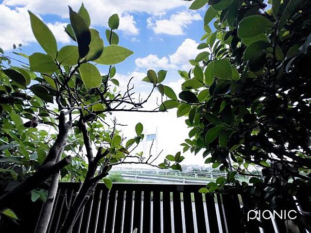 その他 ダイアパレスリバーサイド府中是政 1階/-