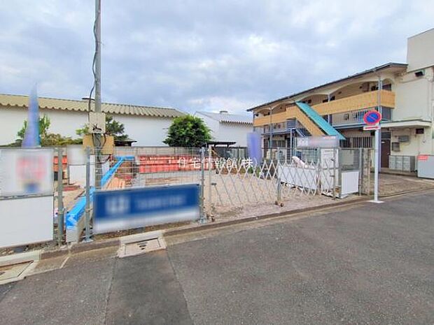 現地写真です。