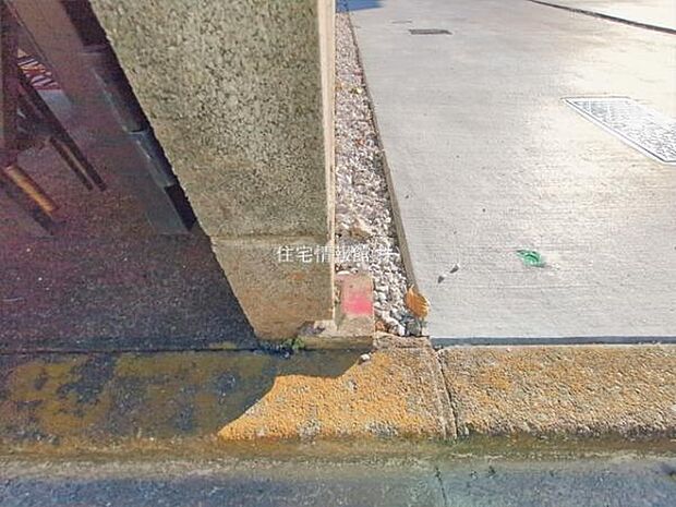 現地写真です。